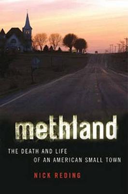 Book cover for Methland