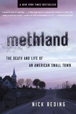 Book cover for Methland