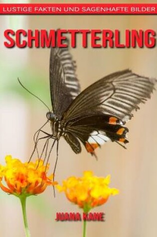 Cover of Schmetterling