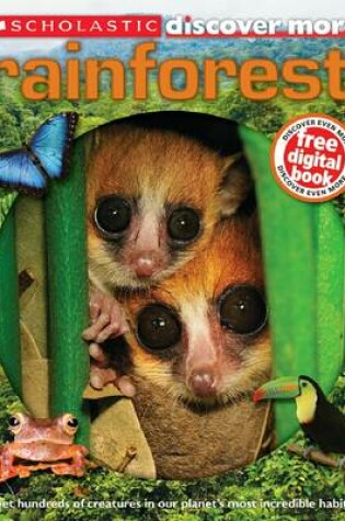 Cover of Rainforest