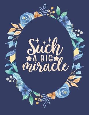 Book cover for Such A Big Miracle