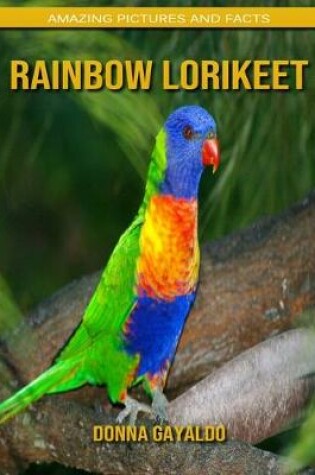 Cover of Rainbow lorikeet