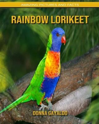 Book cover for Rainbow lorikeet