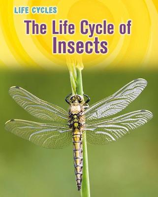 Cover of The Life Cycle of Insects
