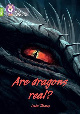 Book cover for Are dragons real?