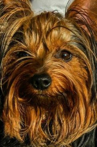 Cover of Hand Held Yorkshire Terrier Dog Journal