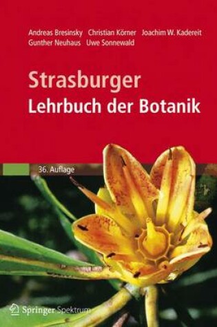 Cover of Strasburger - Lehrbuch Der Botanik