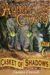 Book cover for Casket of Shadows