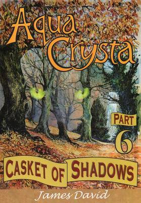 Book cover for Casket of Shadows