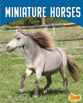 Book cover for Miniature Horses