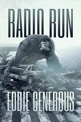 Book cover for Radio Run