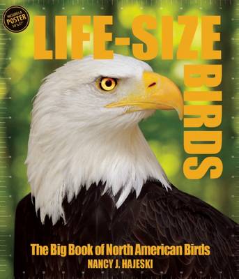 Book cover for Life Size Birds