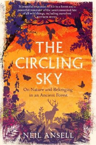 Cover of The Circling Sky