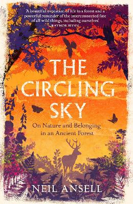 Book cover for The Circling Sky