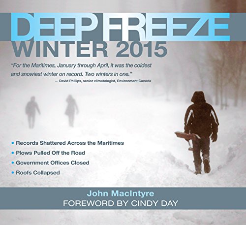 Book cover for Deep Freeze: Winter 2015