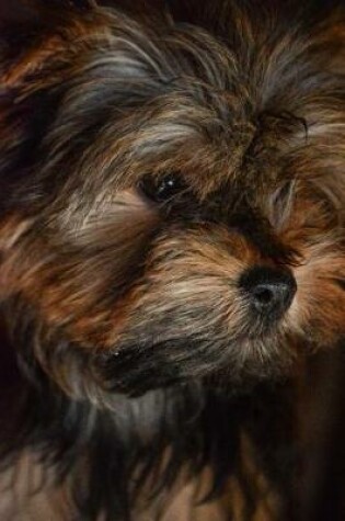 Cover of Yorkshire Terrier Deep in Thought Journal