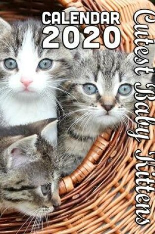 Cover of Cutest Baby Kittens 2020