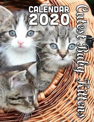 Book cover for Cutest Baby Kittens 2020