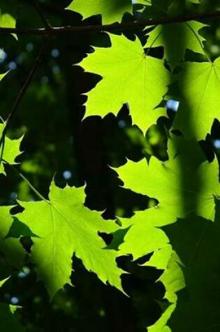 Cover of Leaves of the Norway Maple Tree, for the Love of Nature