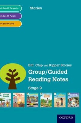 Cover of Oxford Reading Tree: Level 9: Stories: Group/Guided Reading Notes