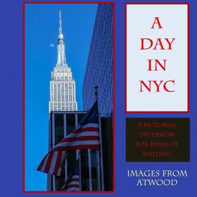 Book cover for A Day in NYC