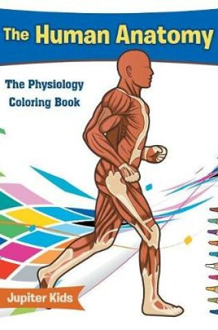 Cover of The Human Anatomy