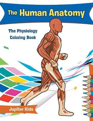 Book cover for The Human Anatomy