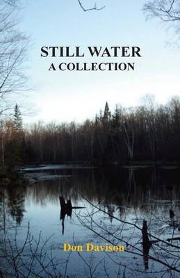 Book cover for Still Water