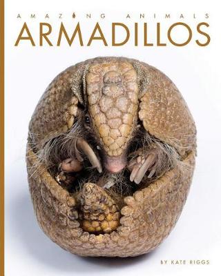 Cover of Armadillos