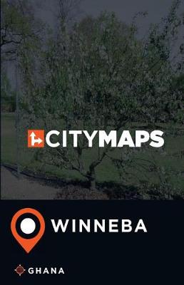 Book cover for City Maps Winneba Ghana