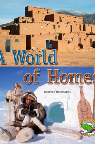 Cover of A World of Homes