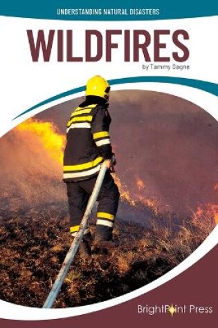 Cover of Wildfires