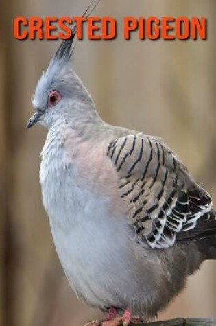 Cover of Crested Pigeon