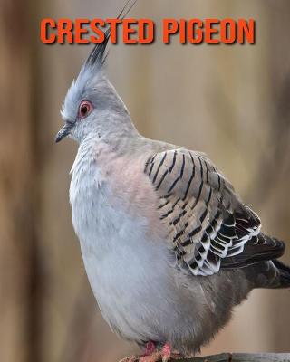 Book cover for Crested Pigeon