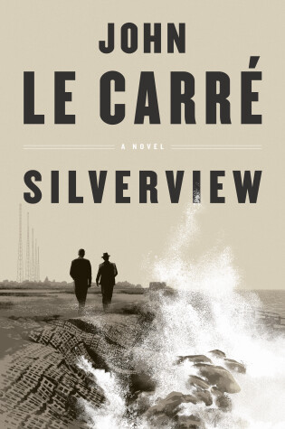 Cover of Silverview