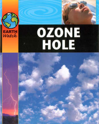 Book cover for Ozone Hole