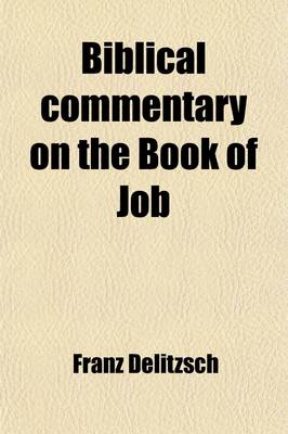 Book cover for Biblical Commentary on the Book of Job (Volume 1)