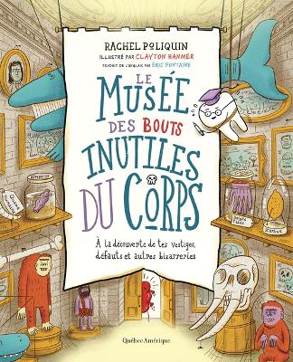 Book cover for Le Musée Des Bouts Inutiles Du Corps