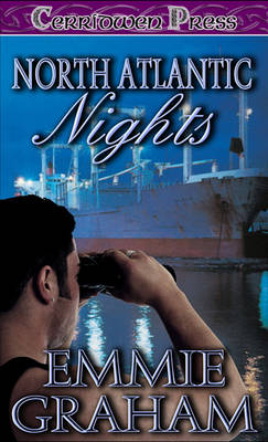 Book cover for North Atlantic Nights