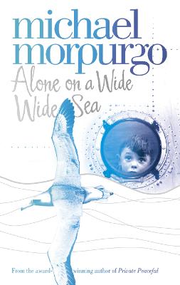 Book cover for Alone on a Wide Wide Sea