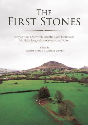 Cover of The First Stones