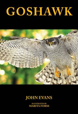 Book cover for Goshawk