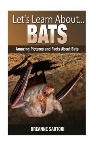 Cover of Bats