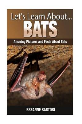 Book cover for Bats