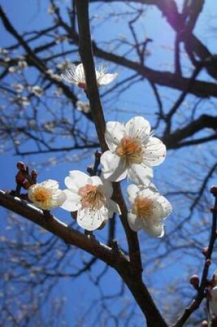 Cover of White Plum Blossoms on a Tree Journal