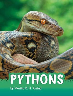 Cover of Pythons