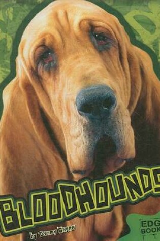 Cover of Bloodhounds