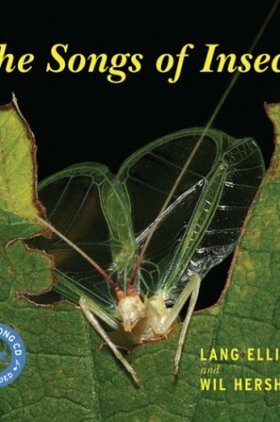 Cover of The Songs of Insects