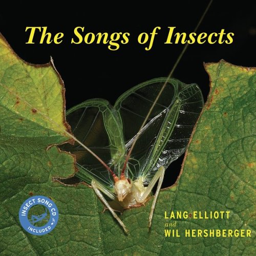 Book cover for The Songs of Insects