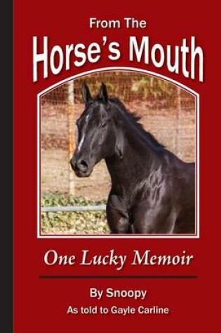 Cover of From the Horse's Mouth